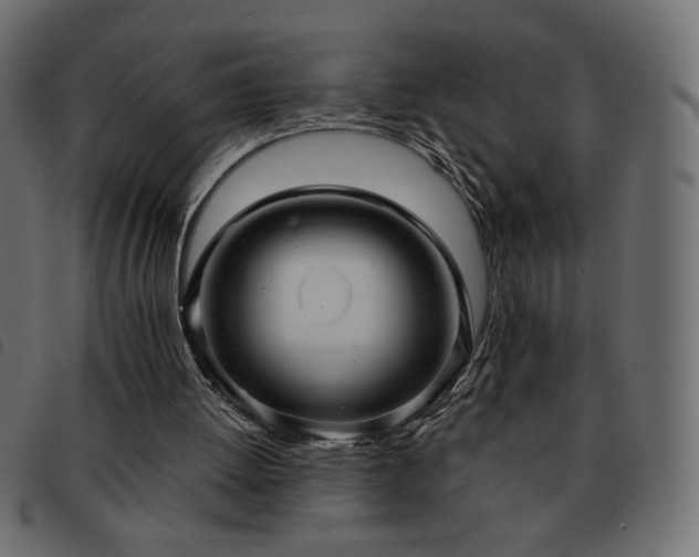 X0000093580052200710151152