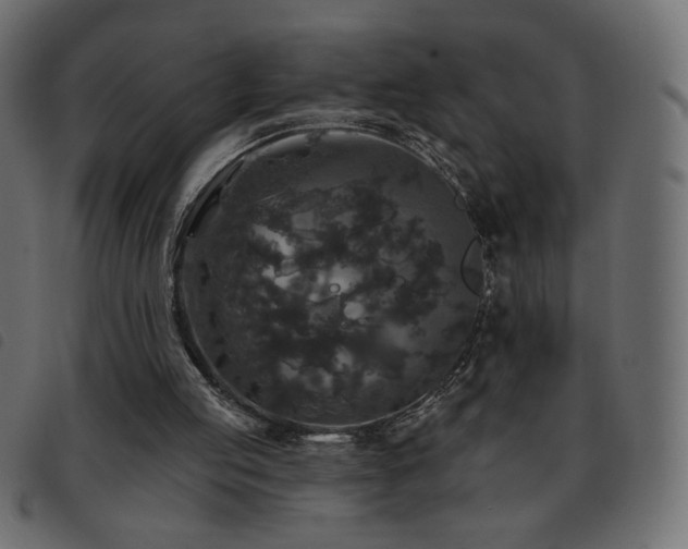 X0000093580053200710151153