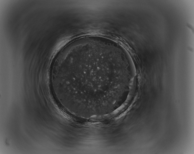 X0000093580055200710151153