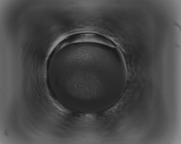 X0000093580056200710151153