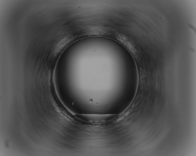 X0000093580058200710151153