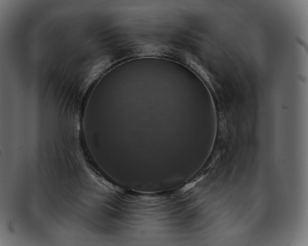 X0000093580059200710151153
