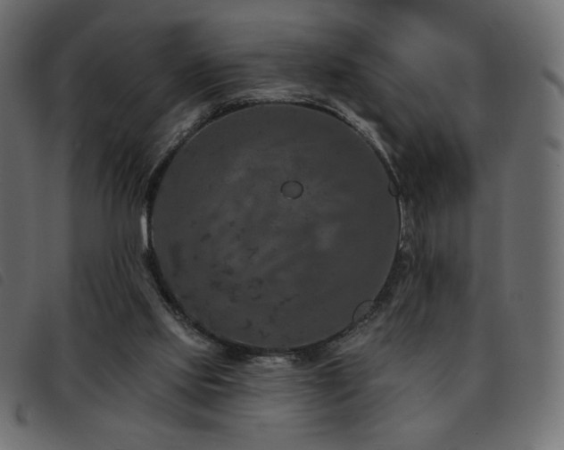 X0000093580061200710151153