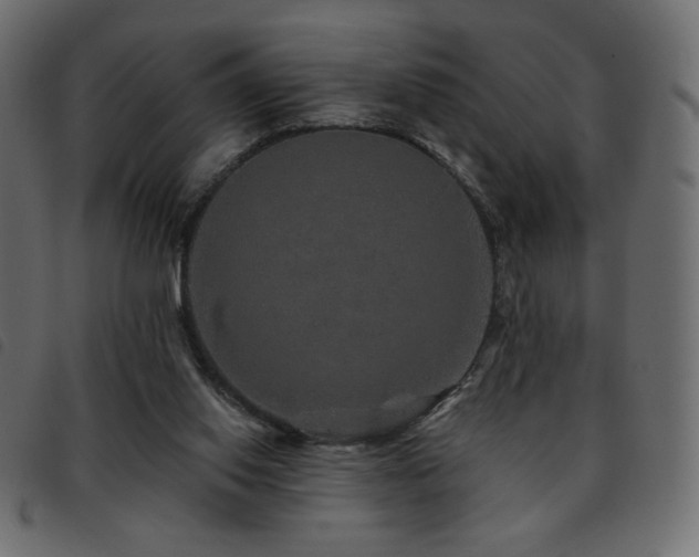 X0000093580062200710151153