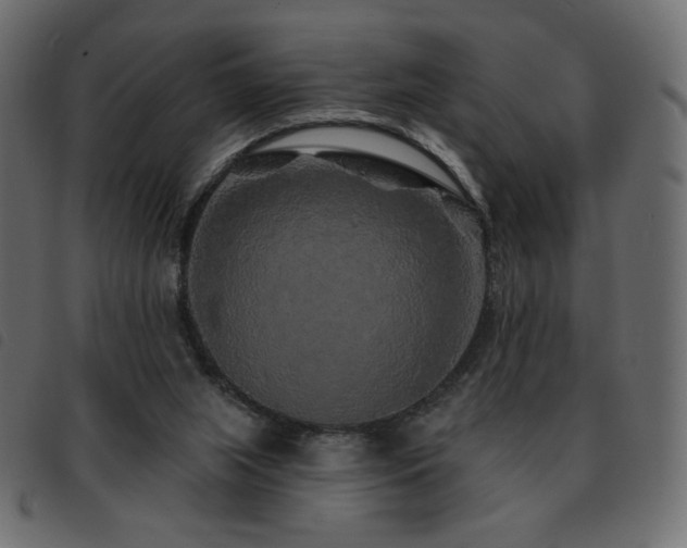 X0000093580063200710151153