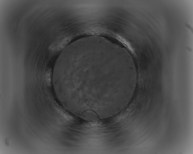 X0000093580065200710151153