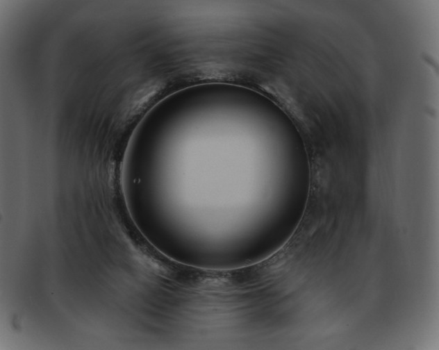 X0000093580066200710151153