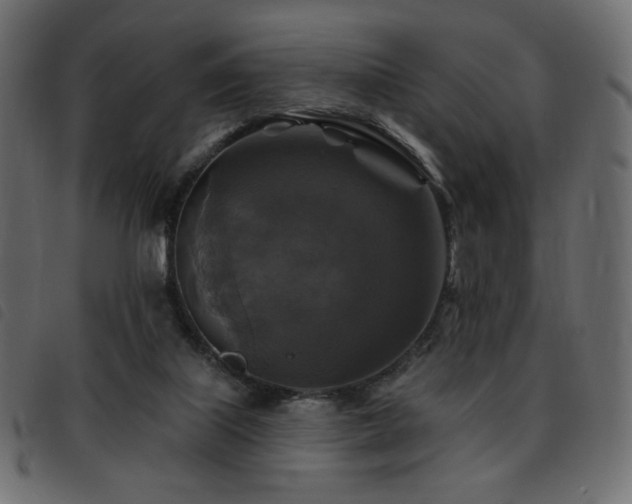 X0000093580067200710151153