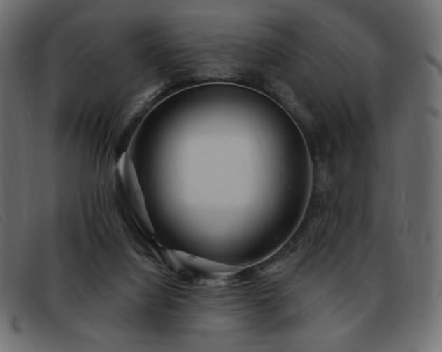 X0000093580068200710151153
