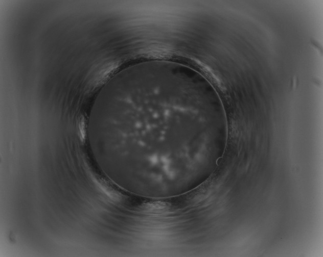 X0000093580069200710151153