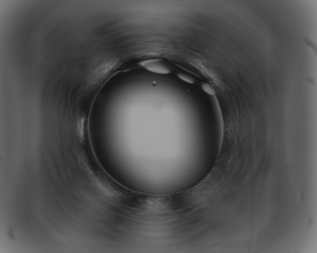 X0000093580070200710151153