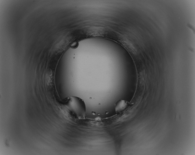 X0000093580073200710151153