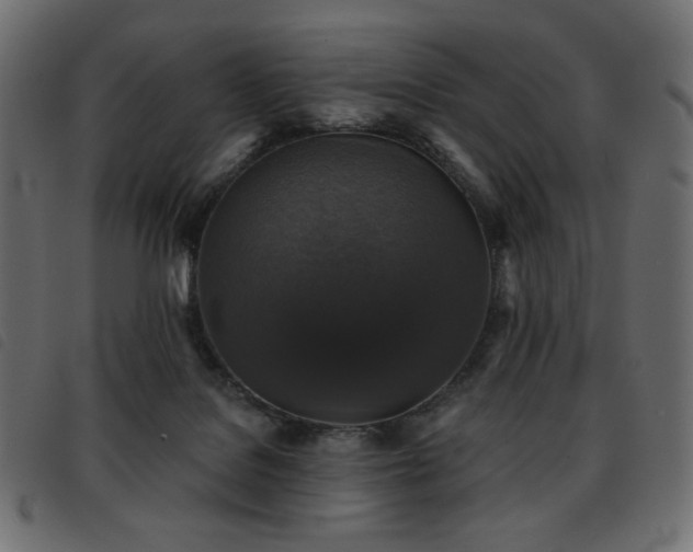 X0000093580076200710151153