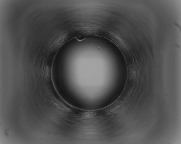 X0000093580077200710151153