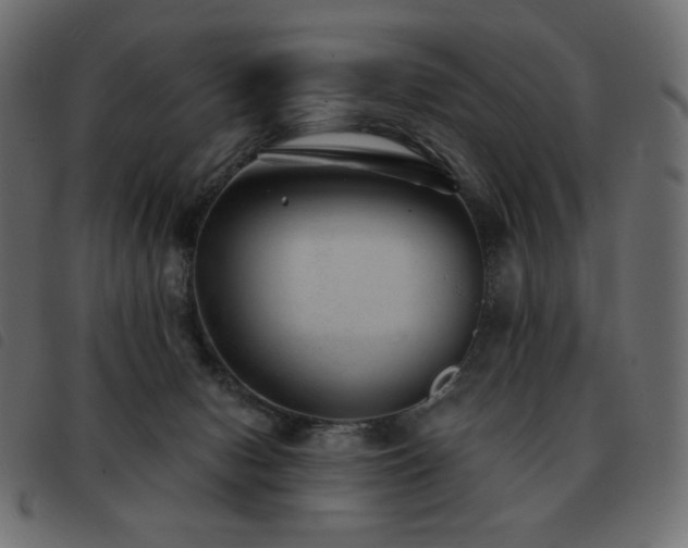X0000093580078200710151153