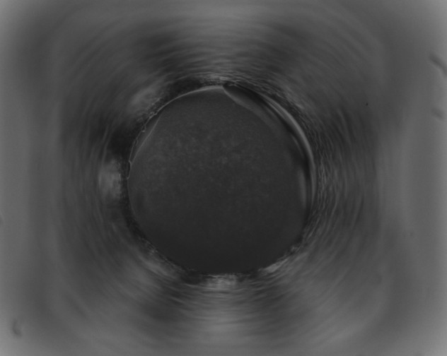 X0000093580080200710151153