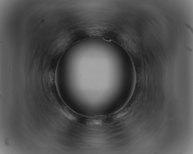 X0000093580081200710151153