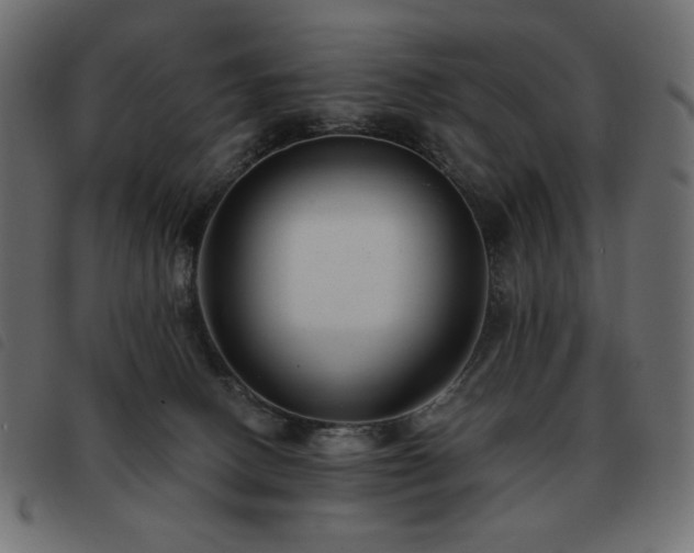 X0000093580082200710151153