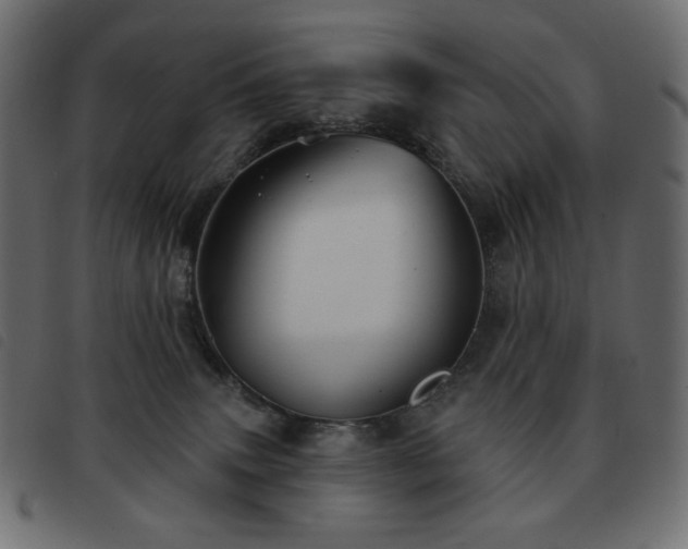 X0000093580083200710151153