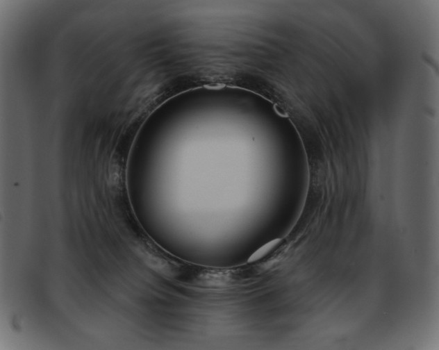 X0000093580084200710151153