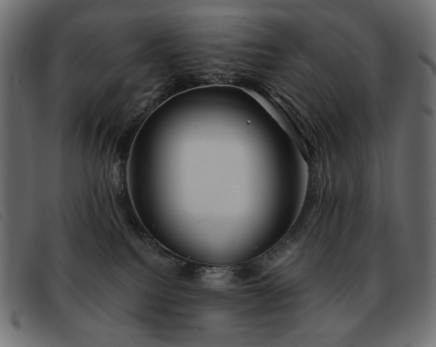 X0000093580088200710151153