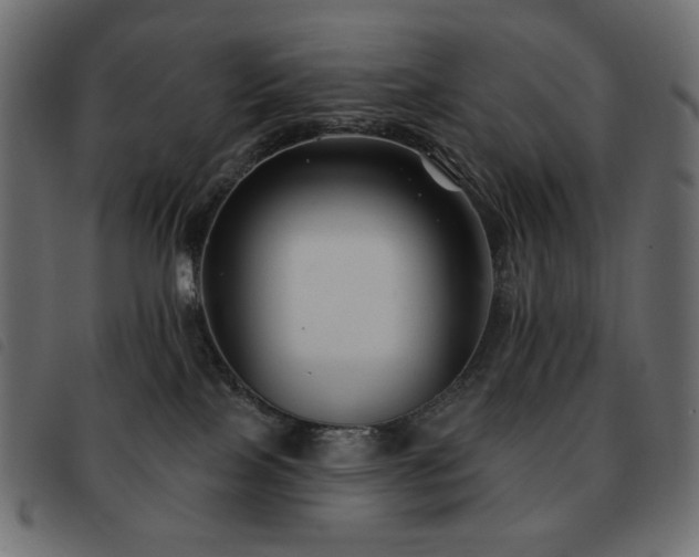 X0000093580089200710151153