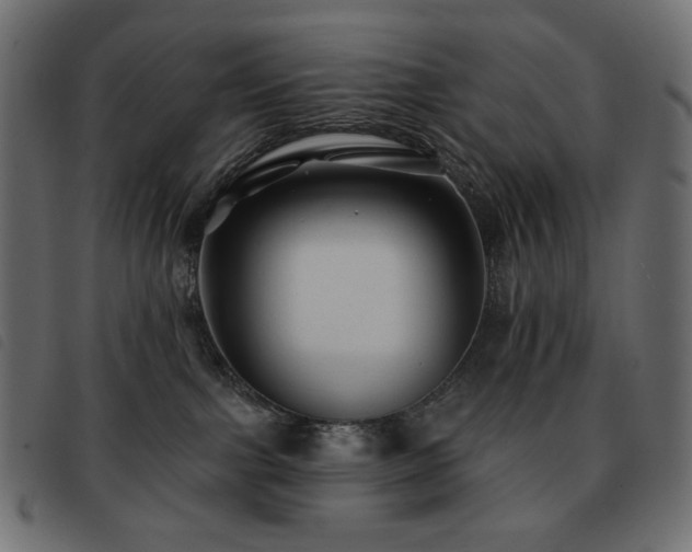 X0000093580091200710151153