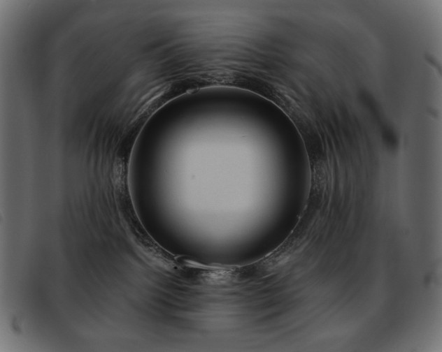 X0000093580092200710151153