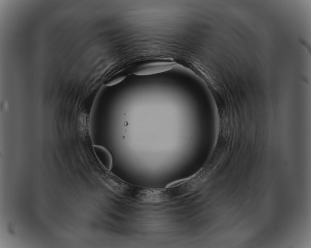 X0000093580093200710151153