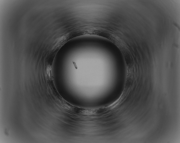 X0000093580094200710151153