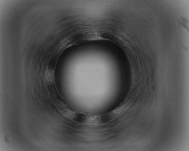X0000093580096200710151153