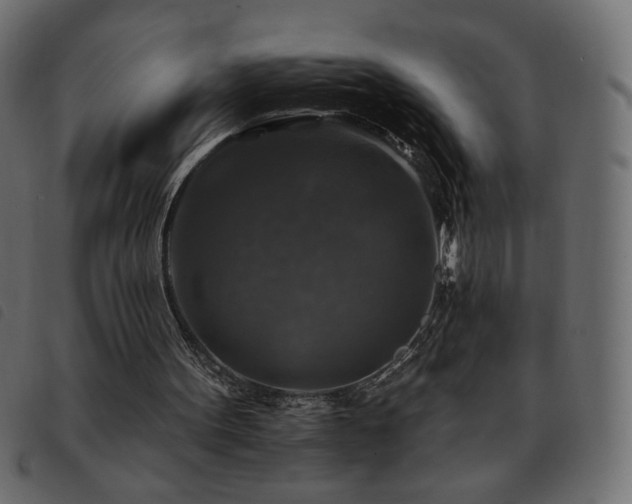 X0000093580099200710151152