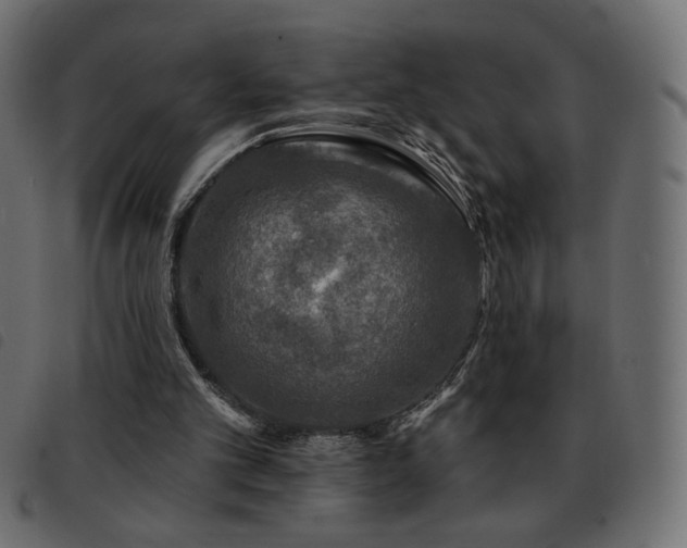 X0000093580101200710151152
