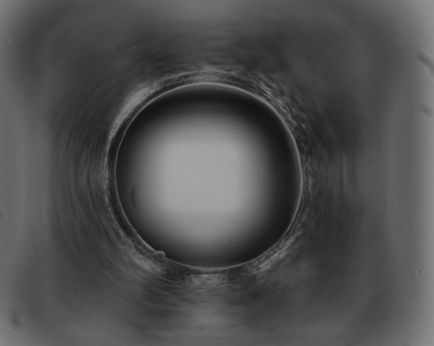 X0000093580102200710151152