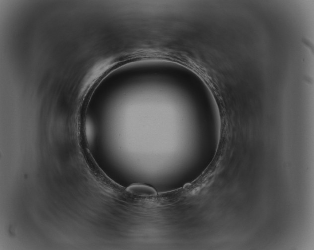 X0000093580103200710151152