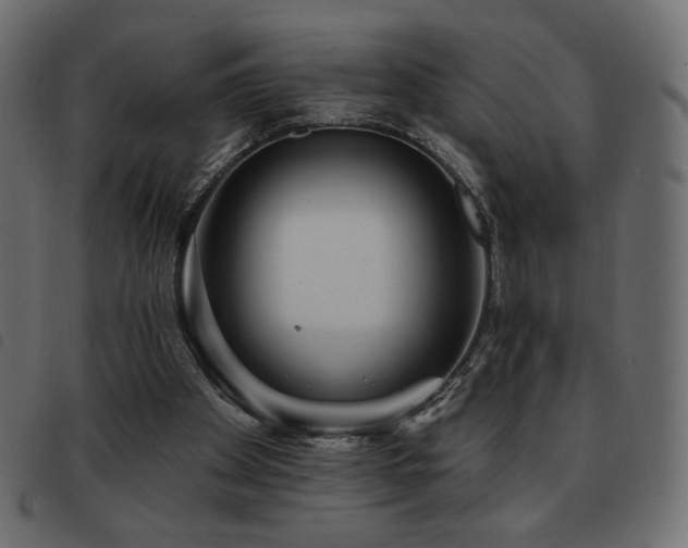 X0000093580105200710151152