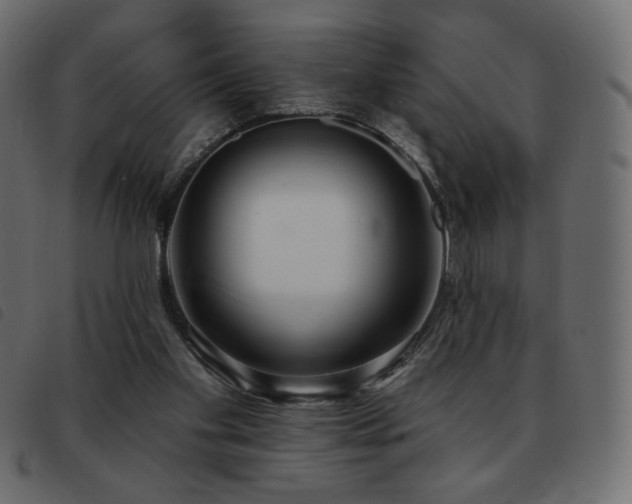 X0000093580109200710151152