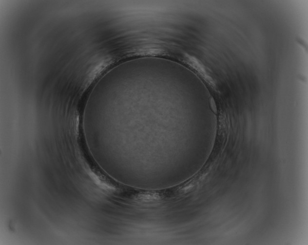 X0000093580110200710151152
