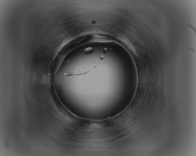 X0000093580111200710151152