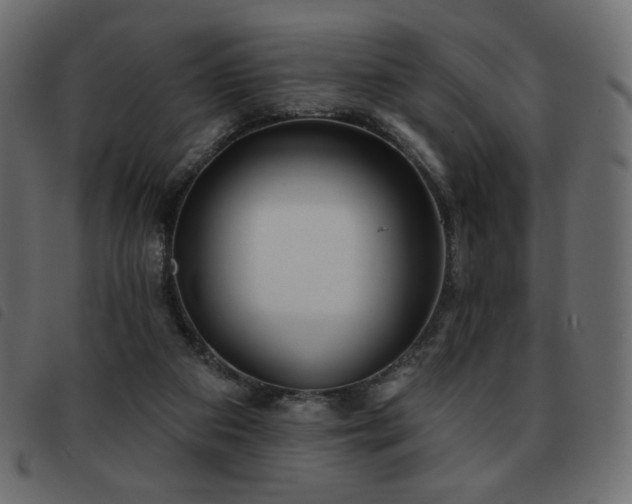 X0000093580113200710151152