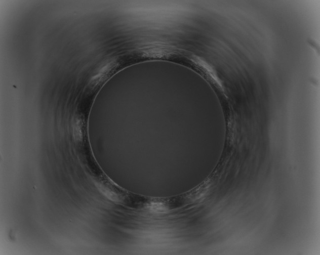 X0000093580114200710151152