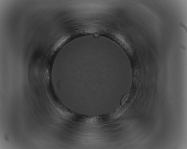 X0000093580116200710151152
