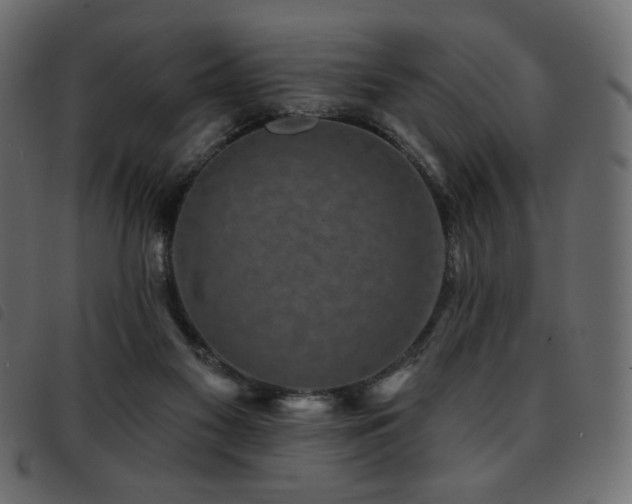 X0000093580117200710151152