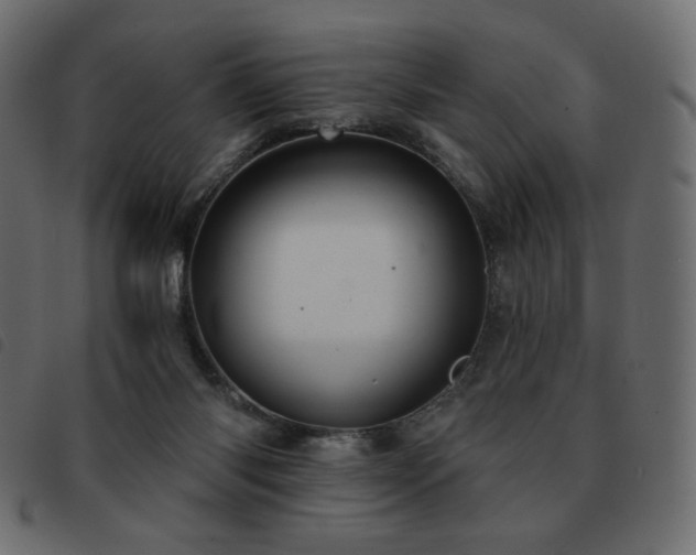 X0000093580118200710151152