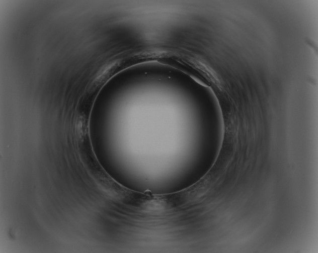 X0000093580119200710151152