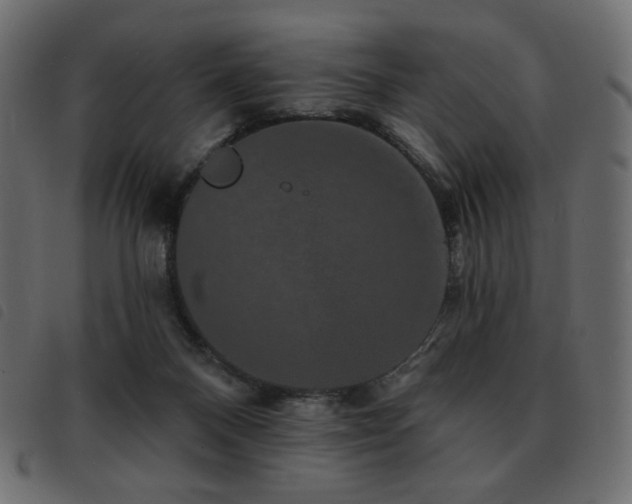 X0000093580120200710151152