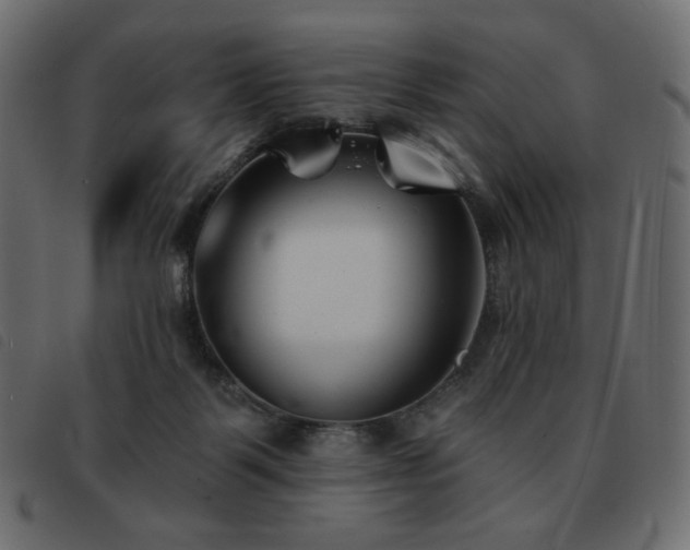 X0000093580123200710151152