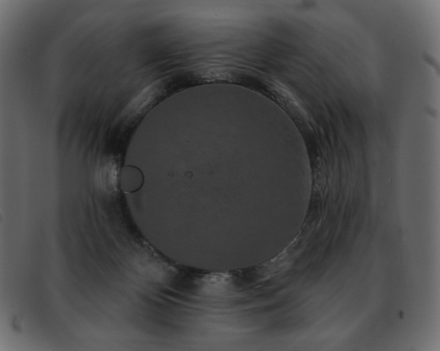 X0000093580124200710151152