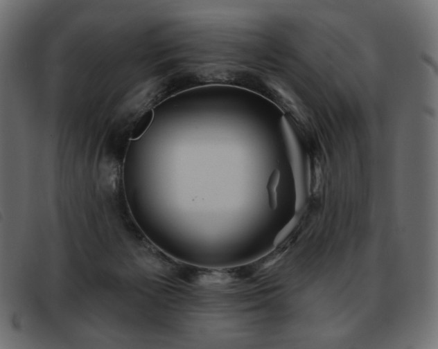 X0000093580125200710151152