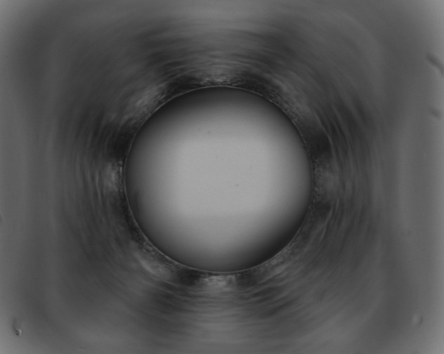 X0000093580126200710151152
